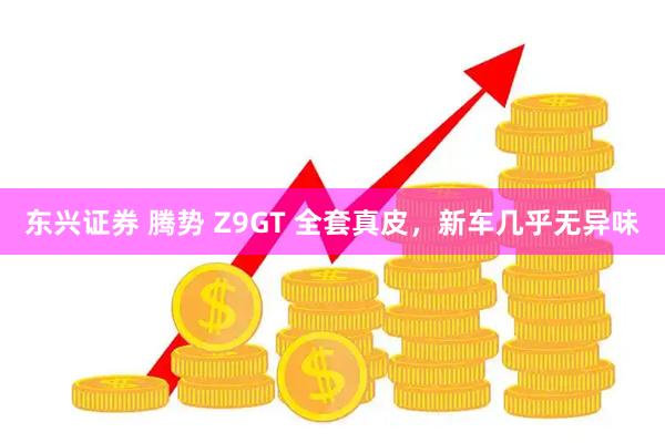 东兴证券 腾势 Z9GT 全套真皮，新车几乎无异味