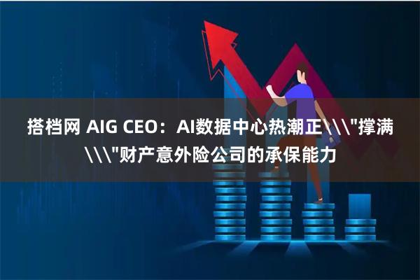 搭档网 AIG CEO：AI数据中心热潮正\＂撑满\＂财产意外险公司的承保能力
